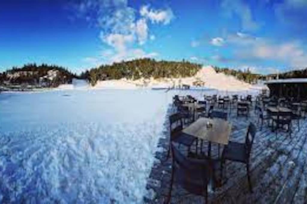 T2 Pour 4 Pers Style Chalet Pied Des Pistes Bolquere Exterior photo